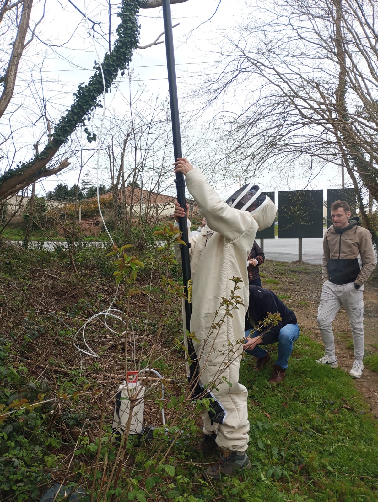 abattages arbres cleder