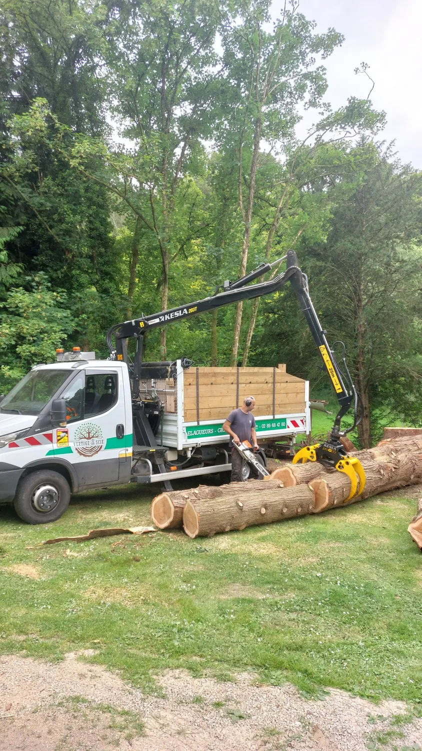 abattages arbres taule