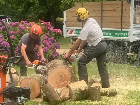arboriste à Cléder - image 4
