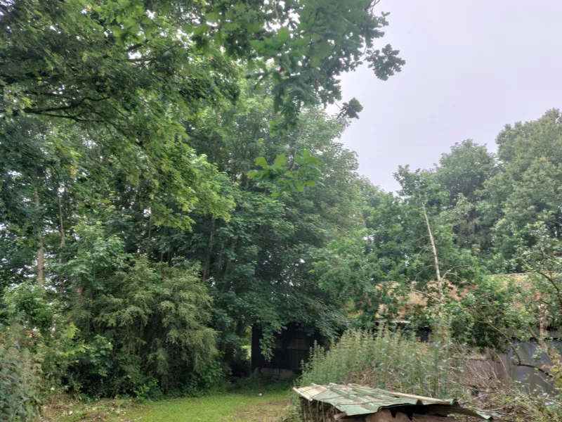 before-image