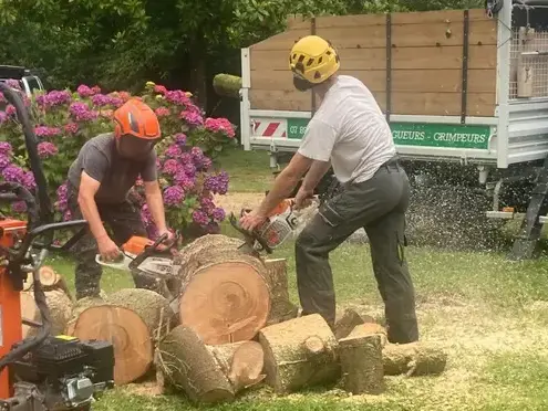 arboriste grimpeur  Cléder-1