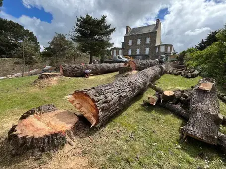 arboriste grimpeur  à Cléder - image 3
