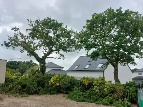 arboriste grimpeur  Cléder-5