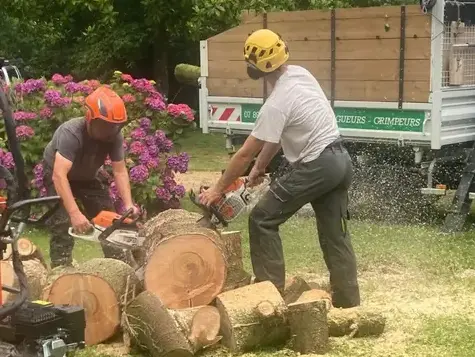 arboriste grimpeur  à Locquénolé - image 3