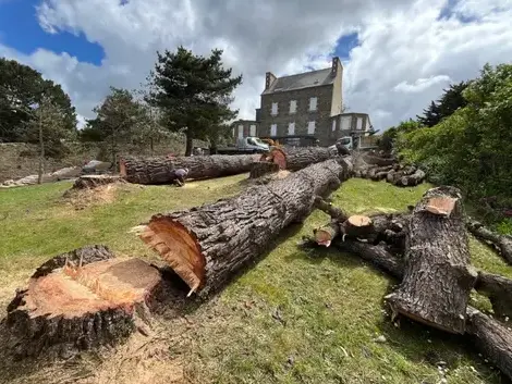arboriste grimpeur  à Plouescat - image 3