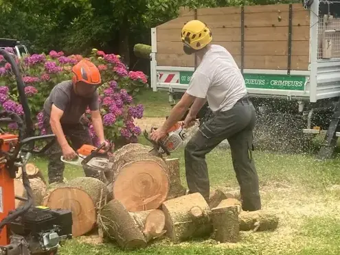 arboriste grimpeur  Taule-5