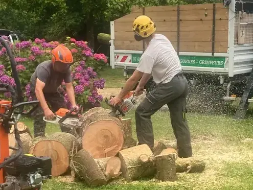 arboriste à Locquénolé - image 3