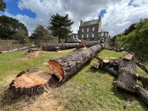 arboriste Plouescat-1