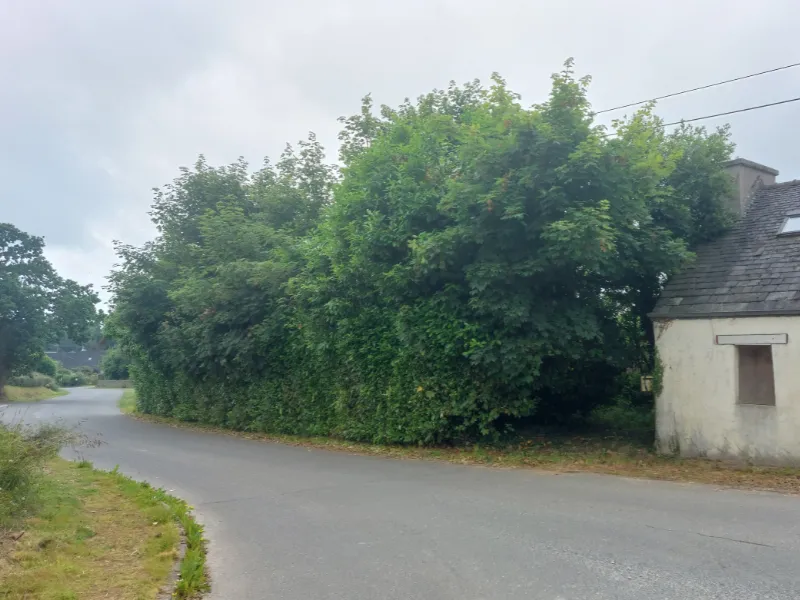 before-image