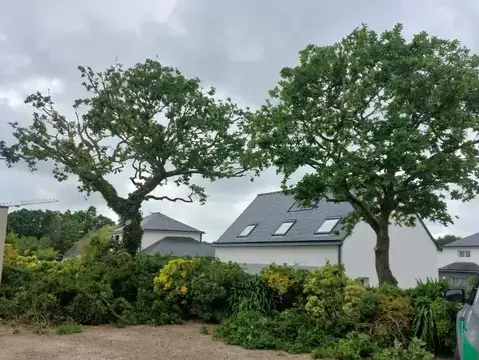 bucheronnage à Cléder - image 3