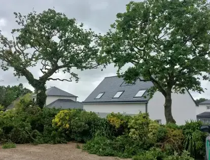 bucheronnage Morlaix-3