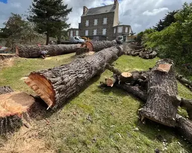 bucheronnage Morlaix-4