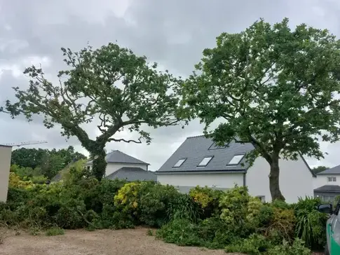 élagueur Cléder-5
