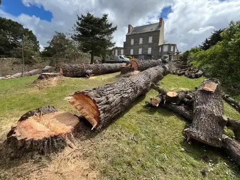 élagueur-grimpeur  à Plouescat - image 2