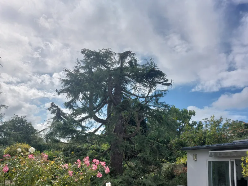 after-image