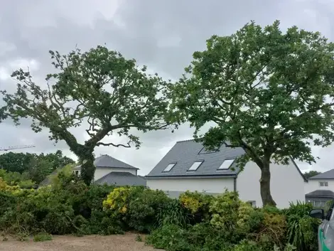 élagueur à Locquénolé - image 3