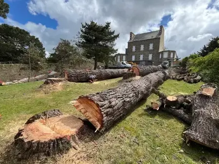 élagueur à Plouescat - image 2