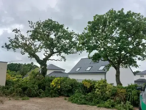 élagueur Plouescat-5