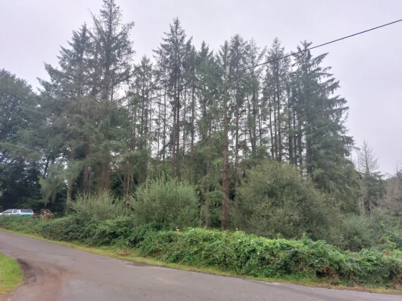 before-image